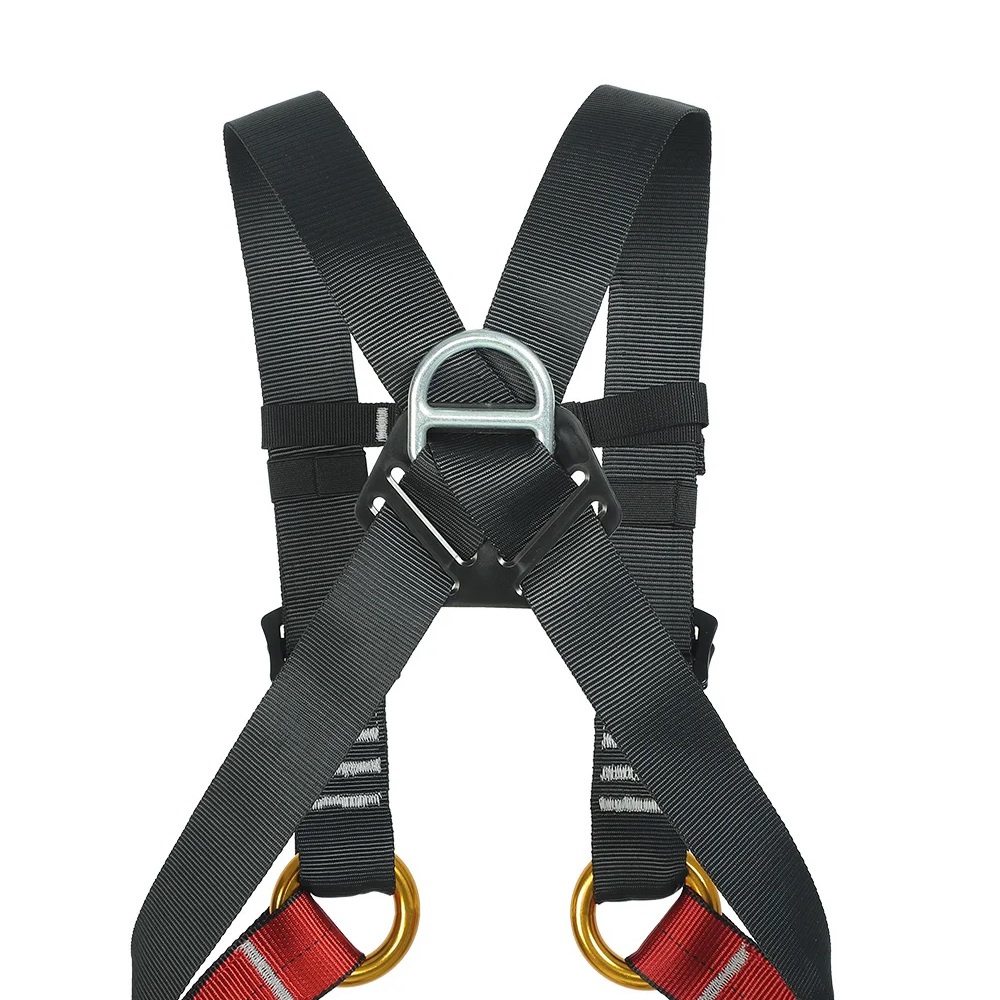 Kind Indoor Expansion Ganzkörp – Kids Outdoor Climbing Structure Bewertung und Preis