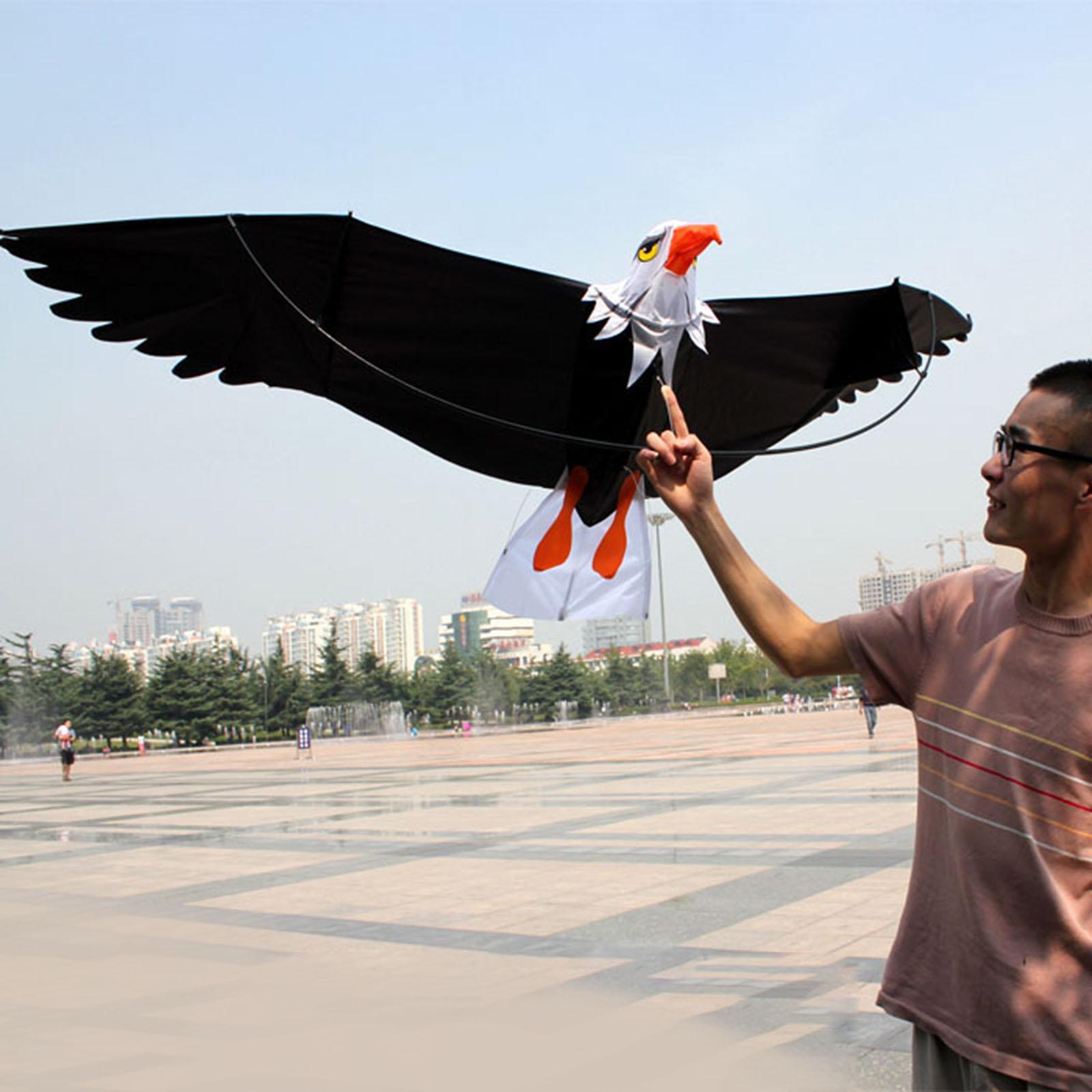 Adler-Lenkdrachen für Kinder u – Kite Easy Fly Kids Bewertung und Preis