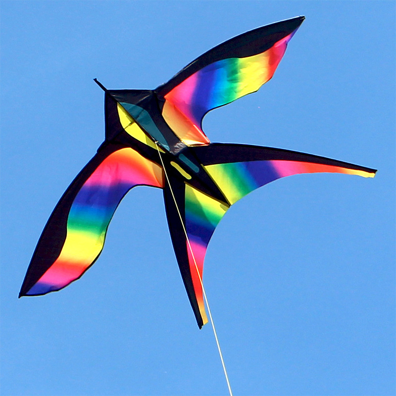 1,7 m einfach zu fliegen bunte – Kite Easy Fly Kids Bewertung und Preis