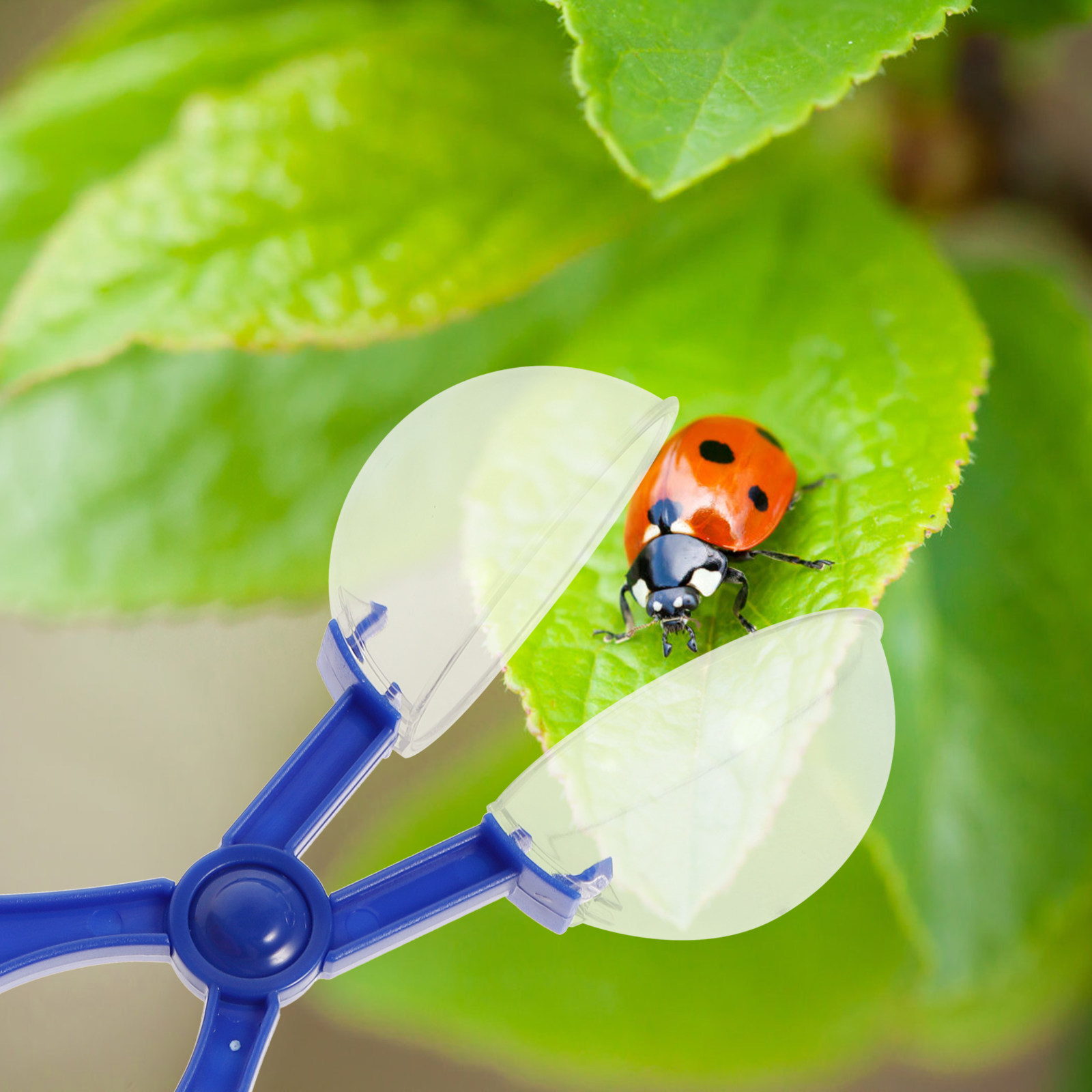 8-teiliges Insektenfänger-Set  – Kids Outdoor Education Bewertung und Preis